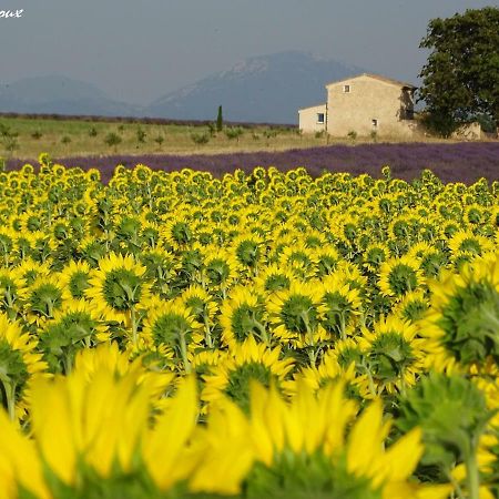 Bed and Breakfast Les Secrets Du Mistral Valensole Esterno foto